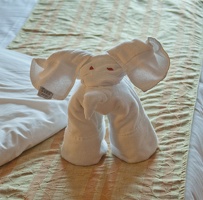 316-1839 Carnival Towel Elephant